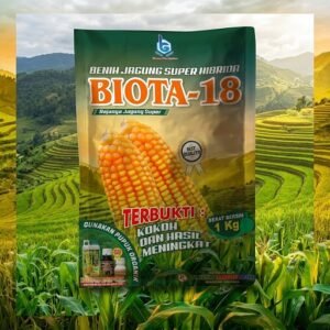 Bibit Jagung